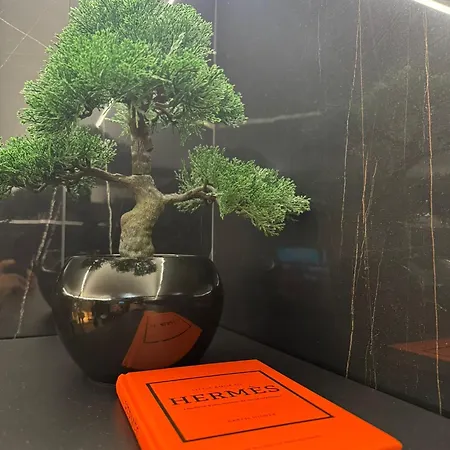 Apartamento Virginia *